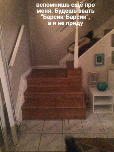 j-vF-r_VotU.jpg