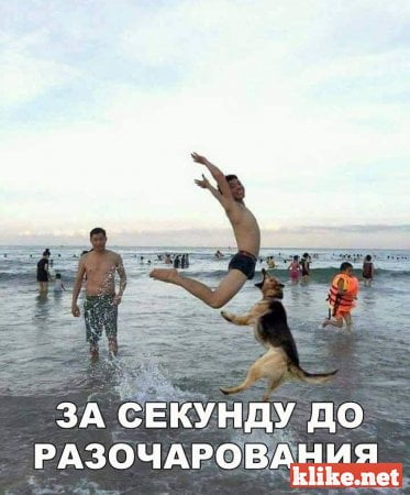 1523958879_65e253f79b33a09316cc.jpg