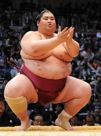 Sumo-Wrestler.jpg