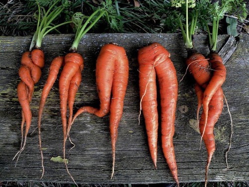 Пришли девчонки, стоят в сторонке