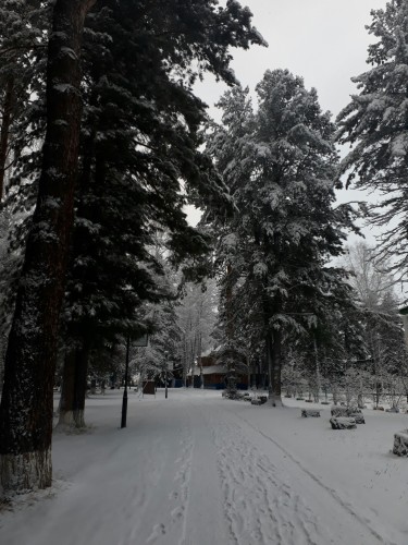 PhotoEditor_20191109_13350787.jpg