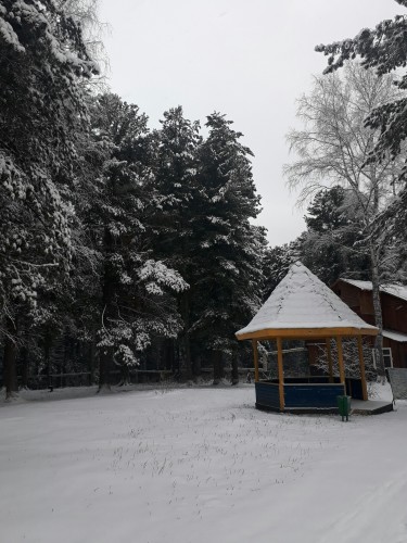 PhotoEditor_20191109_13352046.jpg