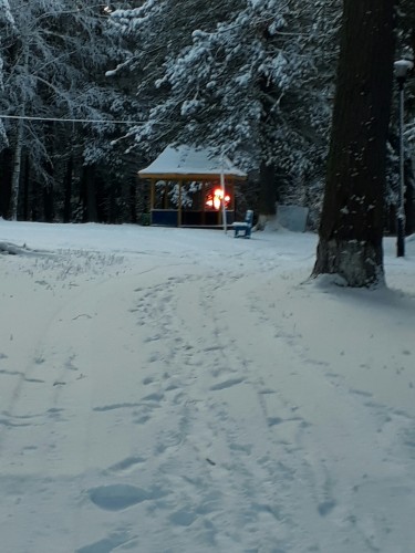 PhotoEditor_20191111_11204794.jpg (710.66 КБ) 290 просмотров PhotoEditor_20191111_11204794.jpg