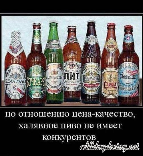 1312584618_ehdao21ckvcfhsj.jpeg