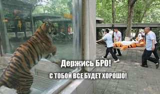 s-toboi-vse-budet-horosho.jpg