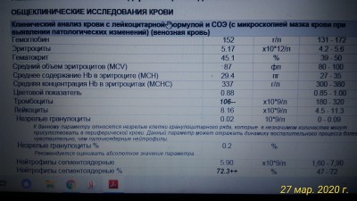 P_20200327_084800_p.jpg