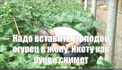 8d0c366d2e75881e8683ef1044adde13.jpg