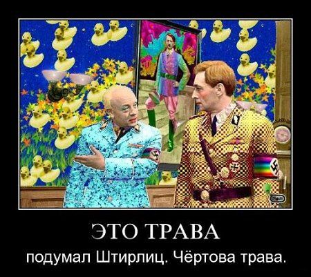 трава.jpg