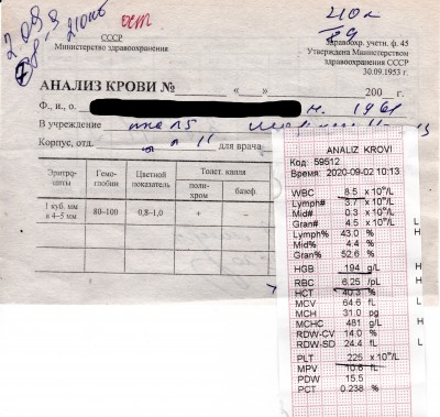 4 недели общий.jpg
