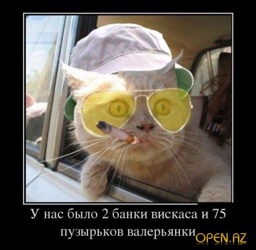 1342162888_1341298358_demotivatory-22.jpg