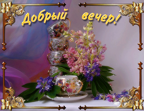 72536205_55536118.gif