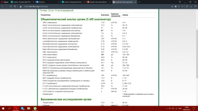 изображение_2021-06-08_200937.png