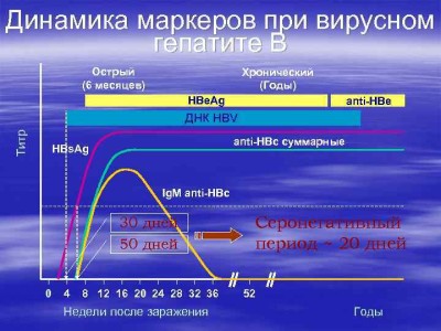 image-53.jpg
