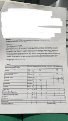 IMG_8674.jpeg