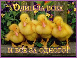 87034247_3387964_Dryzya_ytyata_200_k.jpg