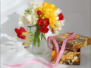 75819999_large_UfH4P4qW.jpg