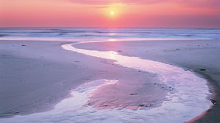 Estuary-at-Sunset.jpg