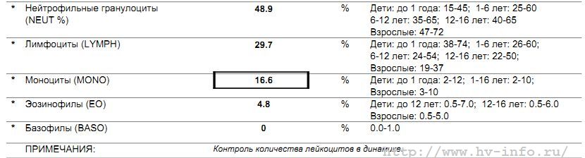 0810-2.jpg