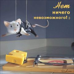 первая.jpg
