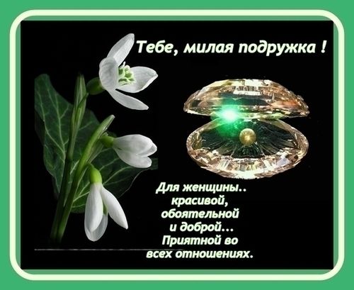 Владе.jpg