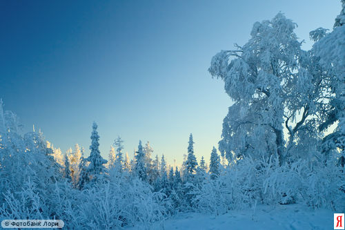 0000099167-YND.jpg