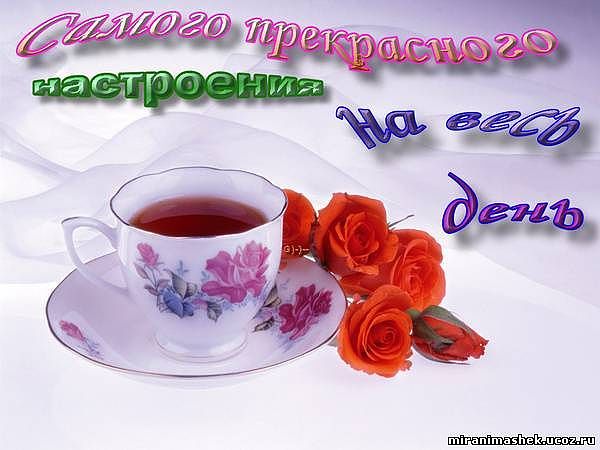 наст.jpeg