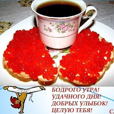 целую.jpeg