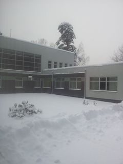 фром виндов 2.jpeg