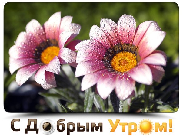 к1.jpg