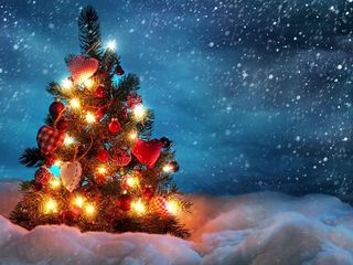 _beautiful_christmas_tree_.jpg