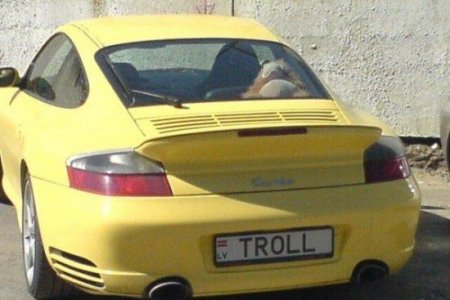 1204574574_nomera_10.jpg