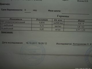 S2020099.JPG
