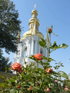 P1120078c.jpg