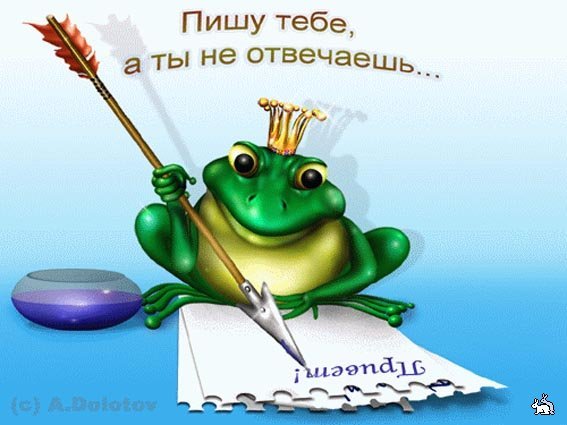 лягушка пишет письмо.jpg