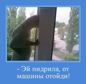 tmb_2411122141088071.jpg