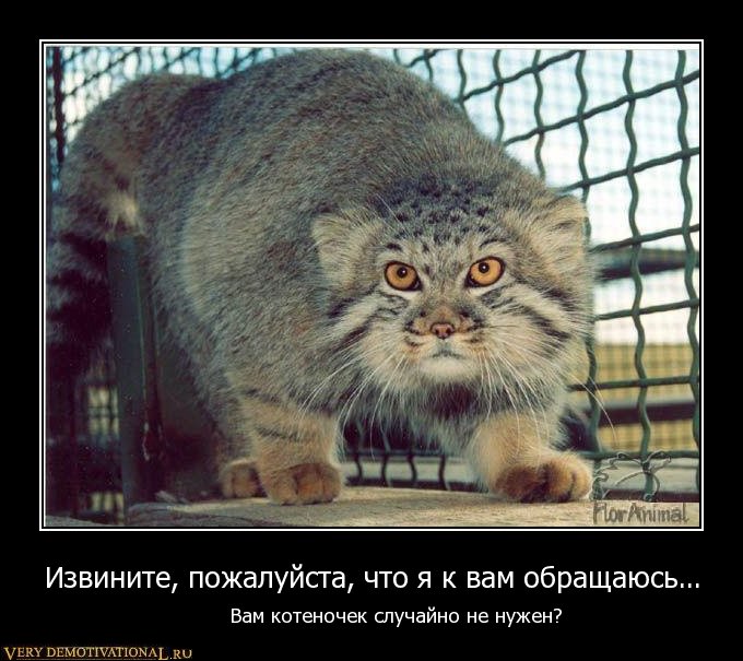 1282988507_izvopsdbja1l.jpg