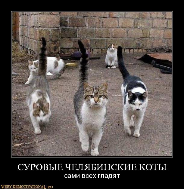 1282990697_s28z1u582h5y.jpg