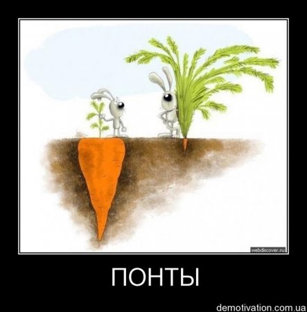 1334680945_demotiv-30.jpg