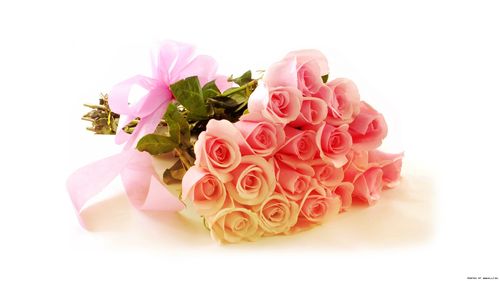 1333320290_0-11.jpg