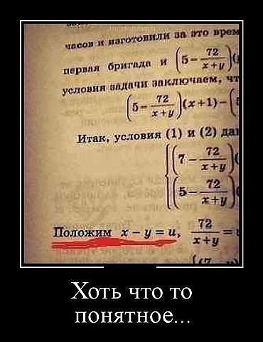 356.jpg