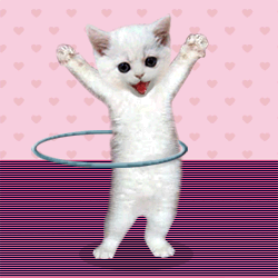 71601829_domashniezhivotnie112.gif