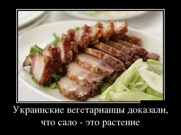 b7932b4323ea8a9c34410671e0ee32b0.jpg