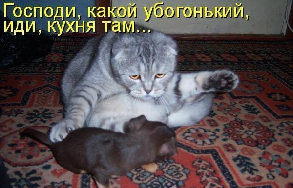 5f4ca6da599c72fa15d01c9cb8bdb95d.jpg