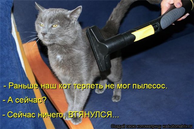 96358e631a1f.jpg