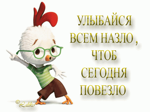 utenok.gif