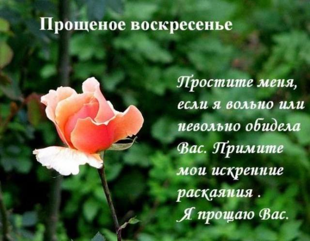 353269_m.jpg