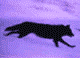 старт.gif