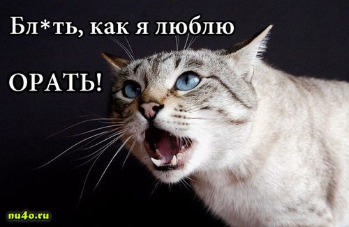 kak-ya-lyublyu-orat.jpg