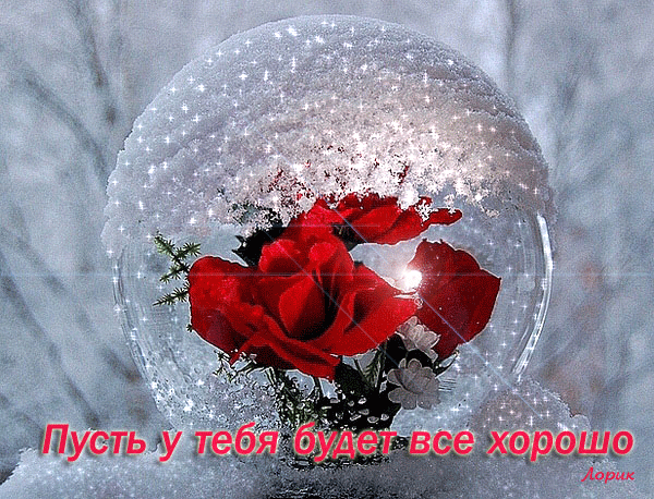 ВЛАДЕ.gif
