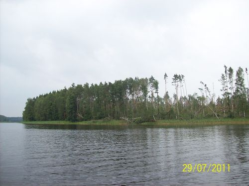 135.JPG